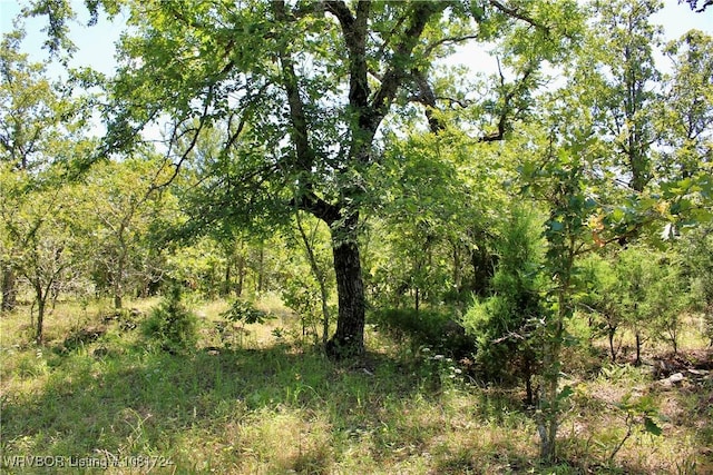 TBD Cloudy Rd, Rattan, OK 74562