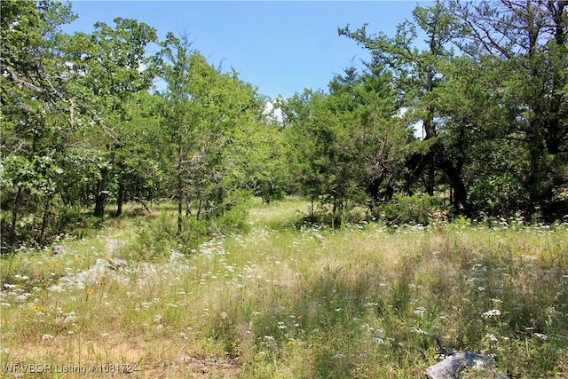 TBD Cloudy Rd, Rattan, OK 74562