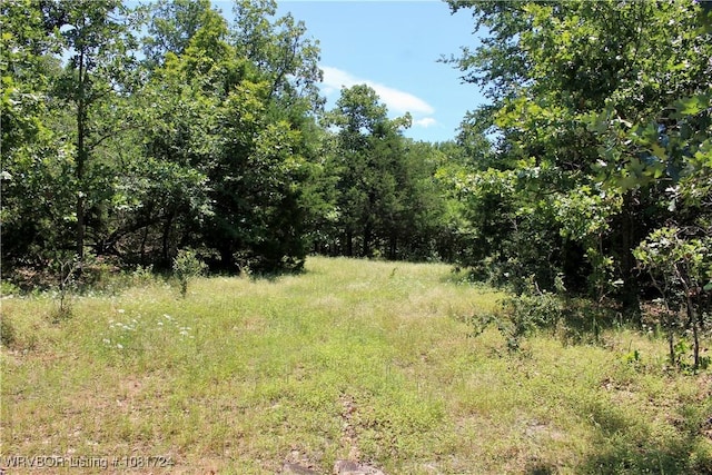 TBD Cloudy Rd, Rattan, OK 74562