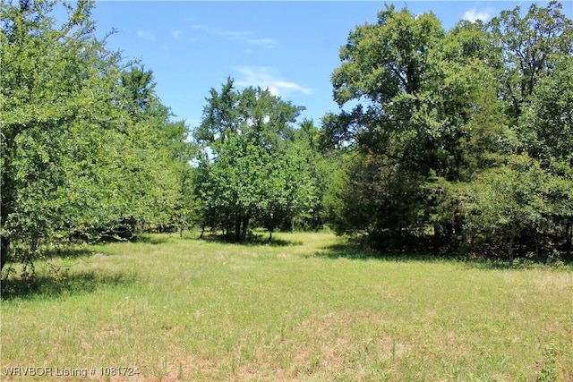 TBD Cloudy Rd, Rattan, OK 74562