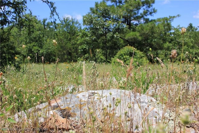 TBD Cloudy Rd, Rattan, OK 74562