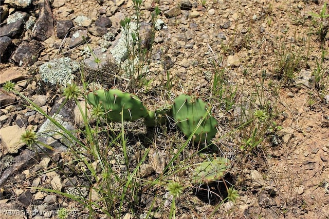 TBD Cloudy Rd, Rattan, OK 74562