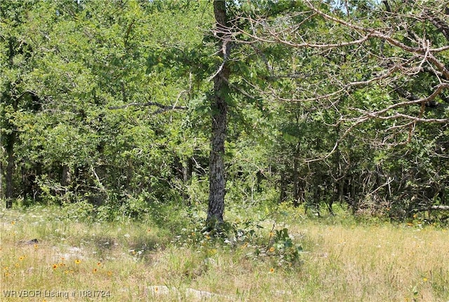 TBD Cloudy Rd, Rattan, OK 74562