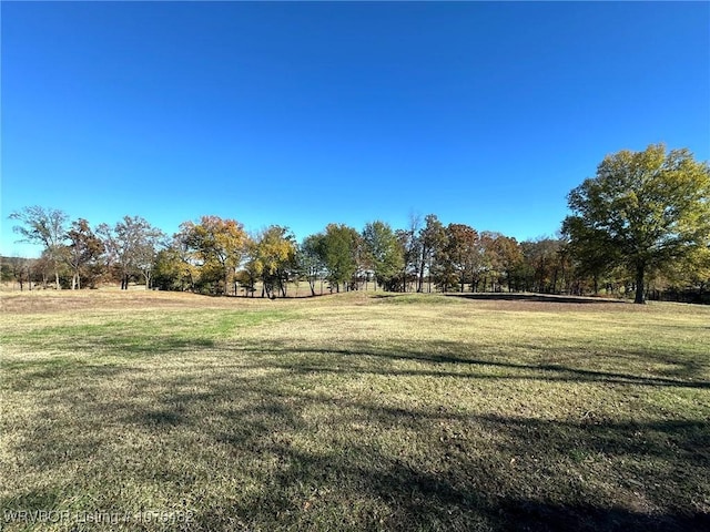 view of yard featuring a rural view