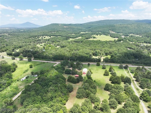 drone / aerial view featuring a mountain view