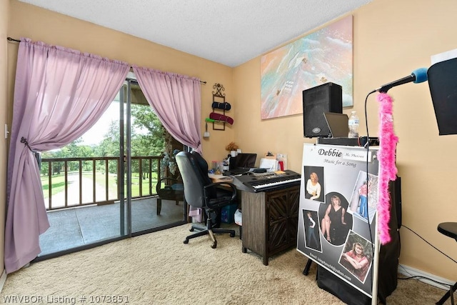 carpeted office with a textured ceiling