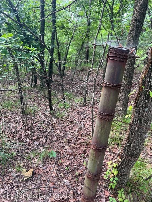TBD Dorsey Cemetery Rd, Mcalester, OK 74501 - photo 23