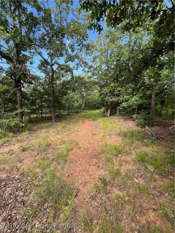 TBD Dorsey Cemetery Rd, Mcalester, OK 74501 - photo 27
