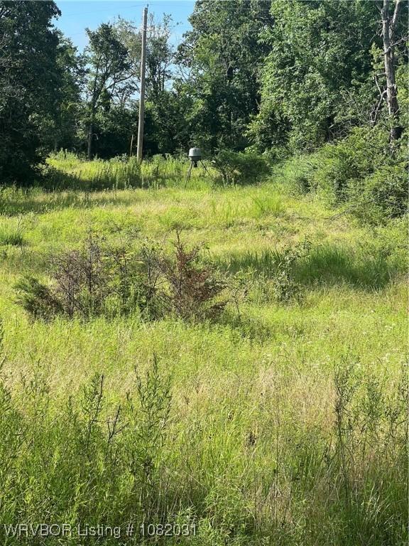 TBD Dorsey Cemetery Rd, Mcalester, OK 74501 - photo 16