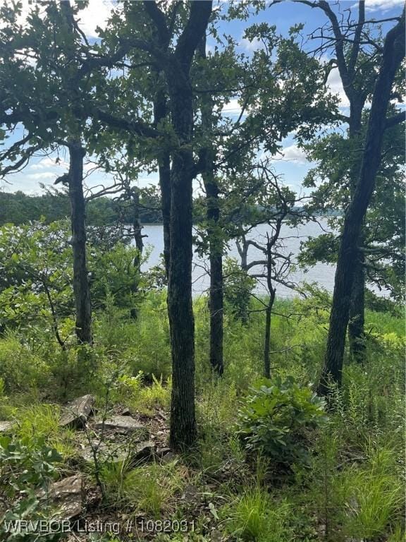 TBD Dorsey Cemetery Rd, Mcalester, OK 74501 - photo 26
