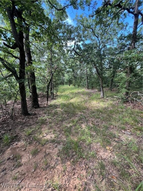 TBD Dorsey Cemetery Rd, Mcalester, OK 74501 - photo 13