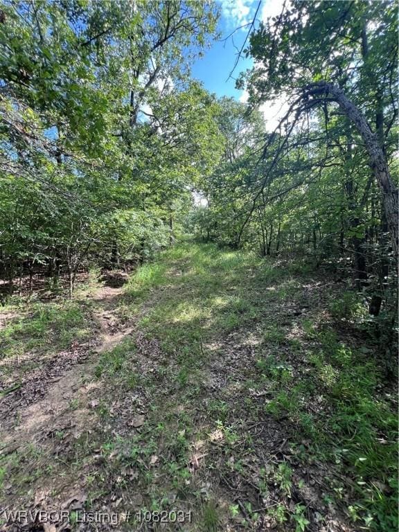 TBD Dorsey Cemetery Rd, Mcalester, OK 74501 - photo 21