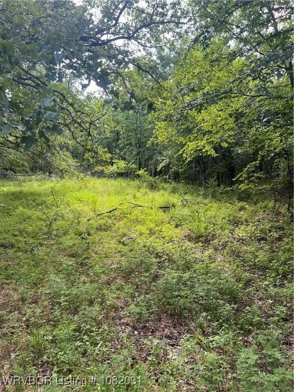 TBD Dorsey Cemetery Rd, Mcalester, OK 74501 - photo 25