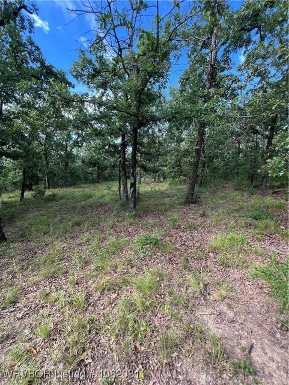 TBD Dorsey Cemetery Rd, Mcalester, OK 74501 - photo 28