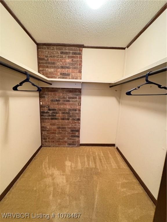 spacious closet featuring light carpet