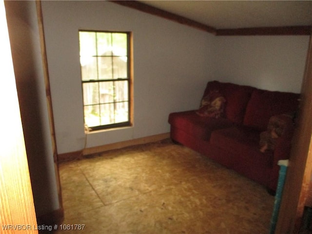 15632 Pink Twist Rd, Ozark, AR 72949 - view of living room