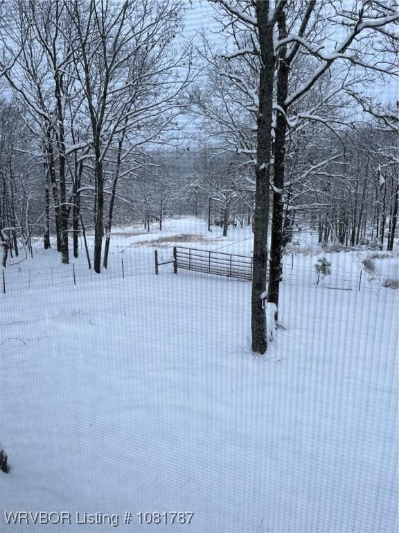 15632 Pink Twist Rd, Ozark, AR 72949 - view of yard layered in snow