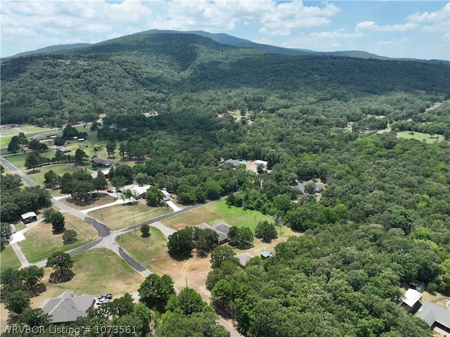 bird's eye view with a mountain view