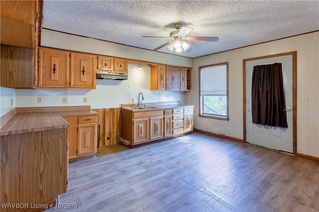 kitchen featuring butcher block counters, ceiling fan, sink, and light wood-type flooring