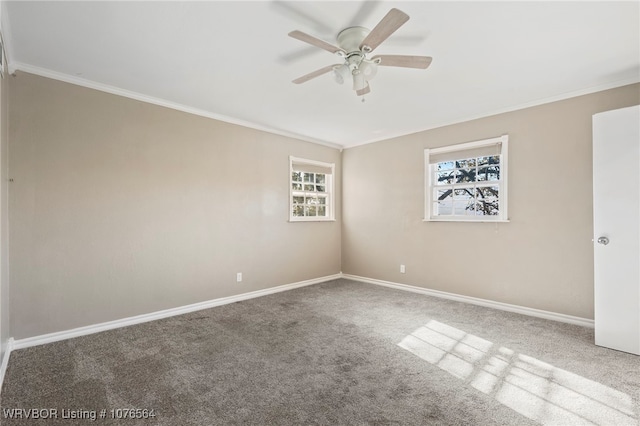 unfurnished room with carpet, ceiling fan, and crown molding