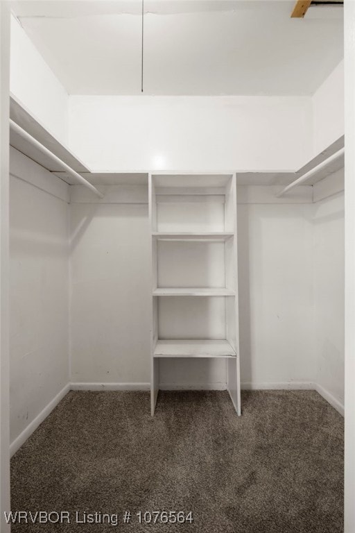 walk in closet featuring dark carpet