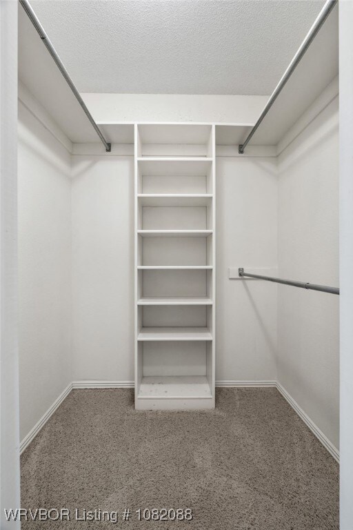 2419 Shealei Cir, Alma, AR 72921 - spacious closet with carpet