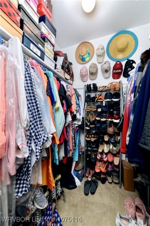 spacious closet with carpet