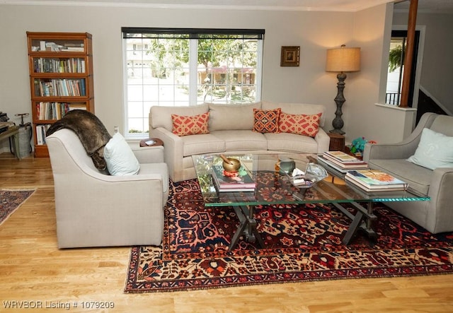 living room with wood finished floors and crown molding