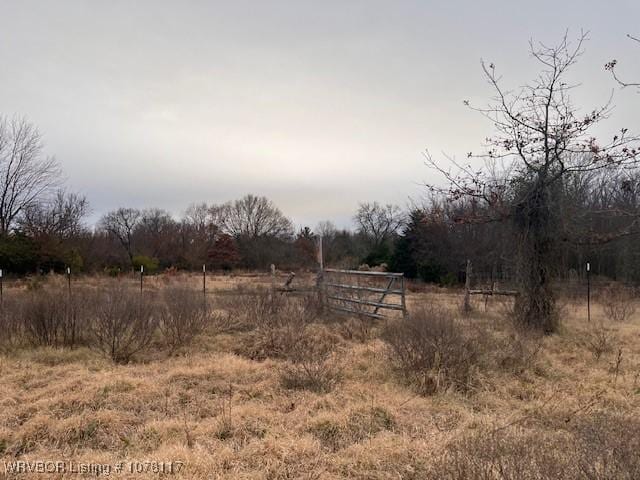 view of yard featuring a rural view