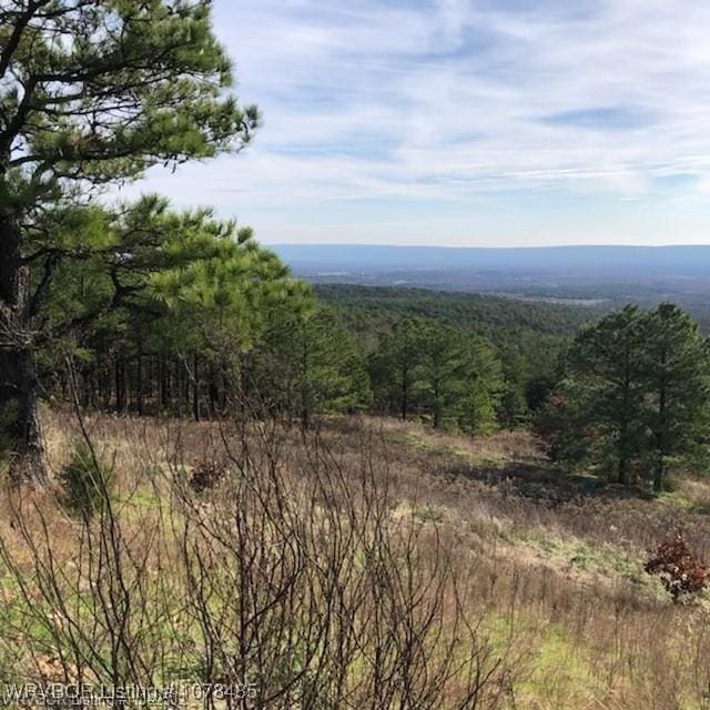 view of landscape