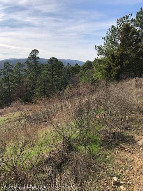 view of local wilderness