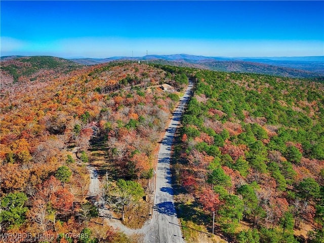 drone / aerial view featuring a mountain view