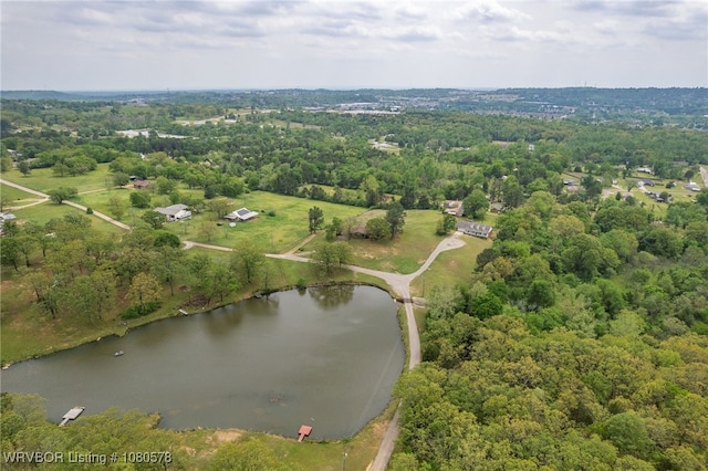bird's eye view featuring a water view and a wooded view