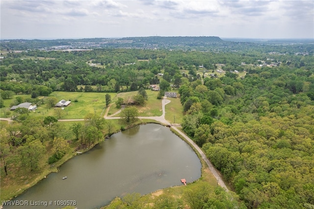 bird's eye view with a wooded view and a water view
