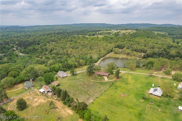 bird's eye view with a water view and a forest view