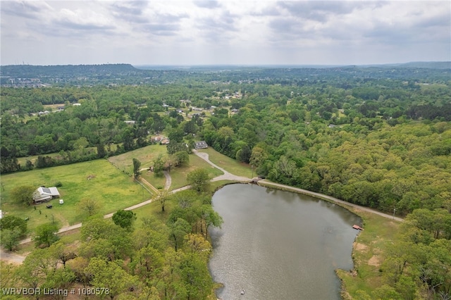 bird's eye view featuring a water view and a forest view