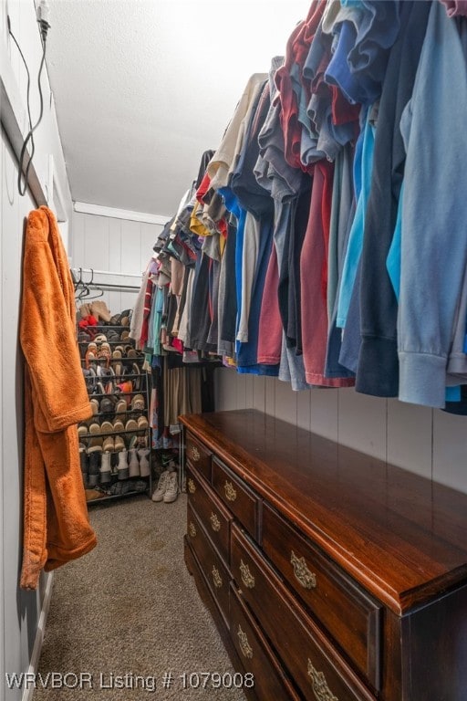 spacious closet with carpet