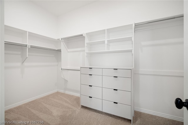 spacious closet with light carpet