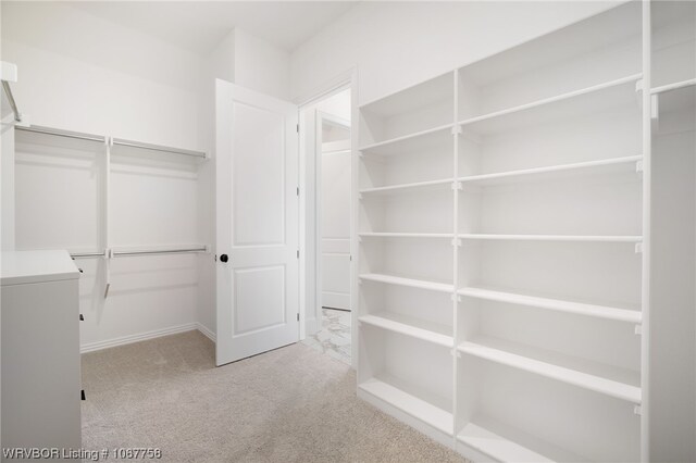 spacious closet with light carpet