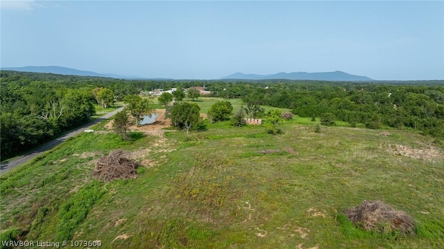 1000 E Center St, Mansfield, AR 72944 - photo 1