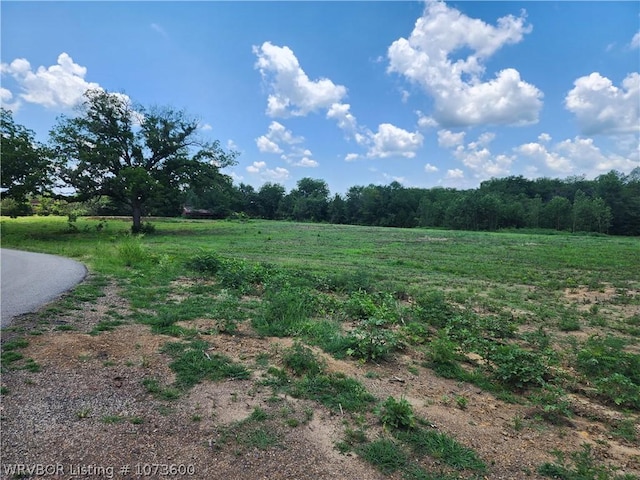1000 E Center St, Mansfield, AR 72944 - photo 17