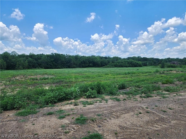 1000 E Center St, Mansfield, AR 72944 - photo 21