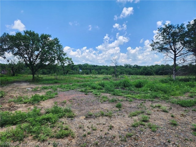 1000 E Center St, Mansfield, AR 72944 - photo 19
