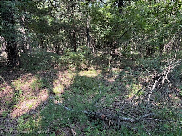 11220 Revis Hill Rd, Mountainburg, AR 72946 - photo 6