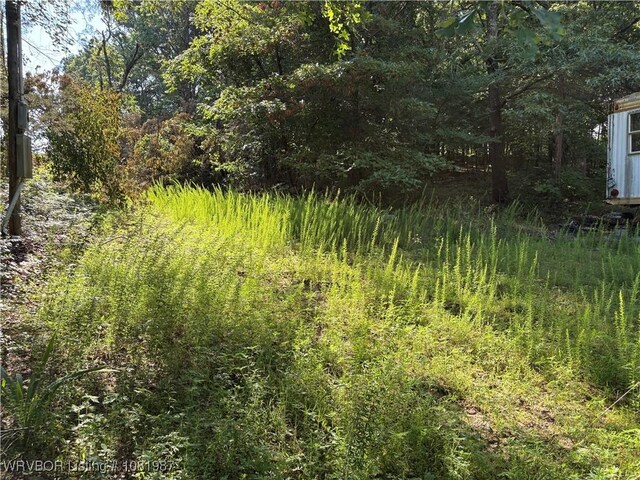 11220 Revis Hill Rd, Mountainburg, AR 72946 - photo 12