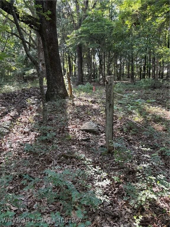 11220 Revis Hill Rd, Mountainburg, AR 72946 - photo 5