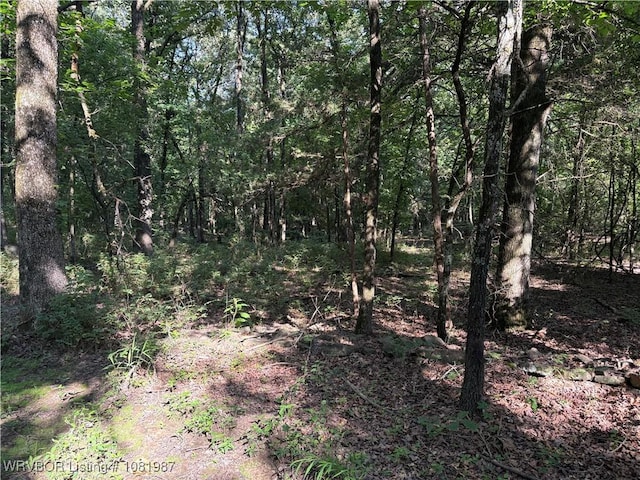 11220 Revis Hill Rd, Mountainburg, AR 72946 - photo 4
