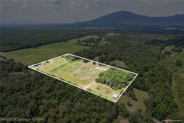 birds eye view of property featuring a mountain view