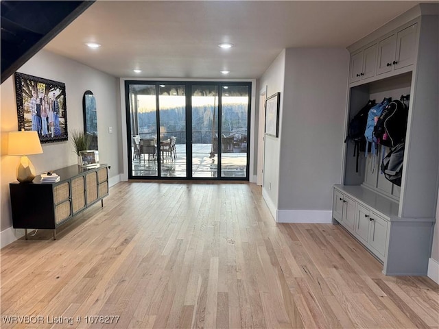 living room with light hardwood / wood-style floors and expansive windows