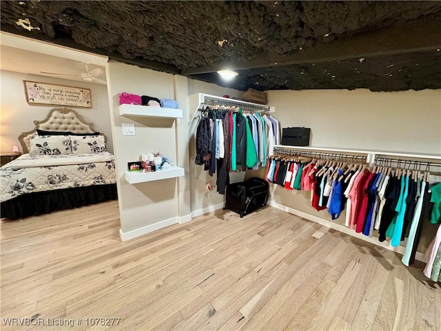 spacious closet with light hardwood / wood-style flooring